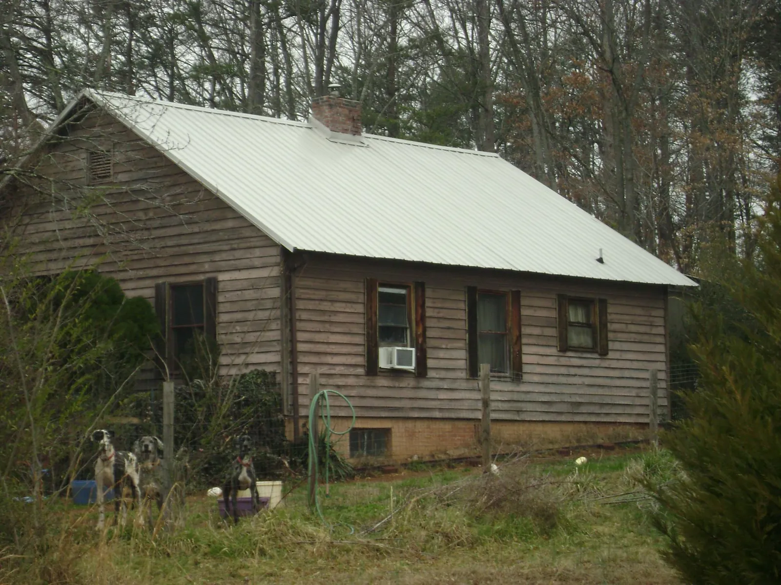 White metal roof on an old wood sided farmhouse, from a Asphalt Shingle Roof Repair job in Latah